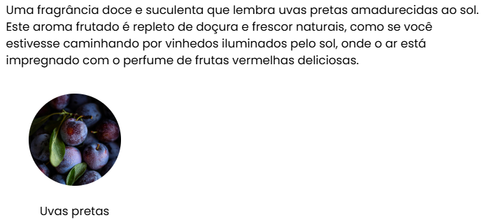 Conjunto Aromatizador de Ambiente e Spray para Casa Premium | AROMATIC•89•