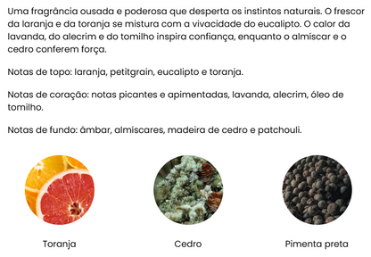 Conjunto Aromatizador de Ambiente e Vela Perfumada Premium AROMATIC•89• | Exclusivo