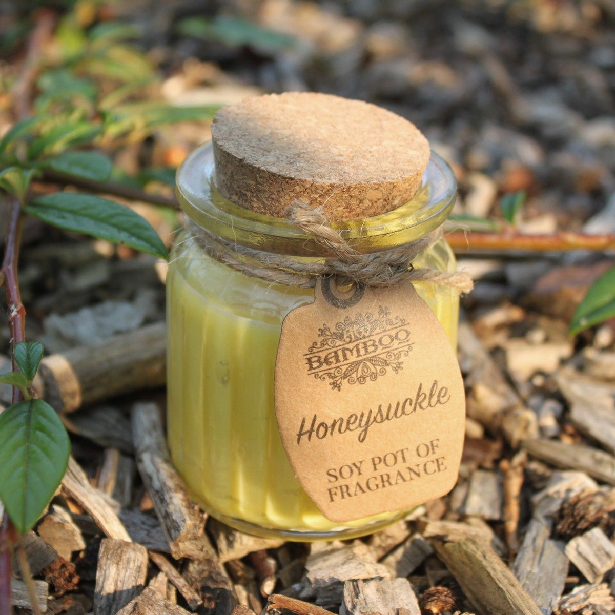 BAMBOO - Vela Perfumada de Cera de Soja Madressilva