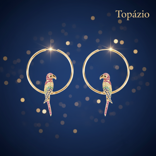Banner Brincos Argolas Arara Topázio