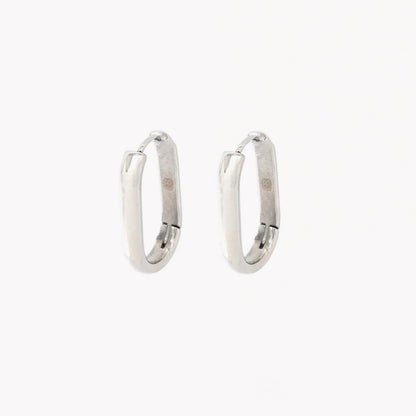 Brincos Argolas Básicas Grossa | Aço Inoxidável | Coleção Stellara
