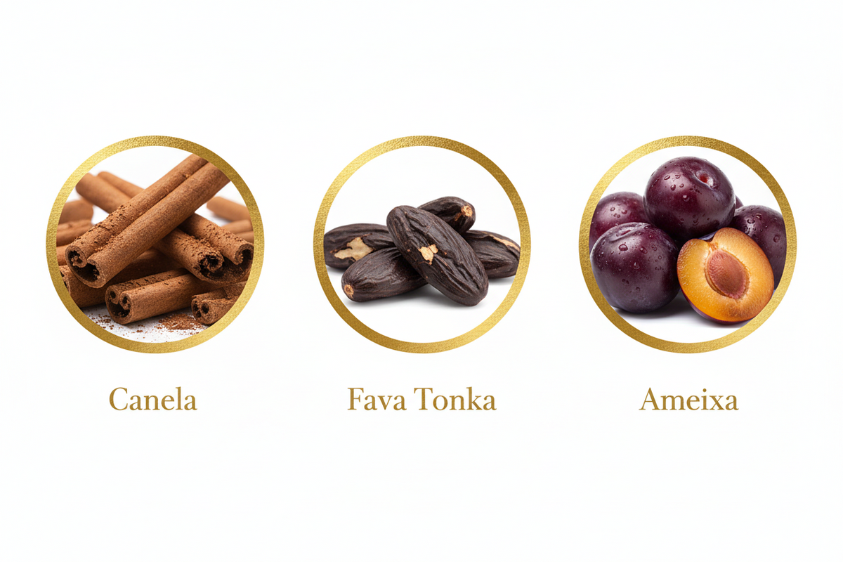 AROMATIC•89• - Morocó | Guia de Aroma